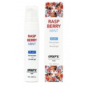 Возбуждающий гель Raspberry Mint с ароматом малины и мяты - 15 мл. - Exsens - купить с доставкой в Красногорске