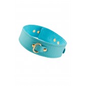 Голубой кожаный однослойный ошейник с прошивкой - Pecado - купить с доставкой в Красногорске