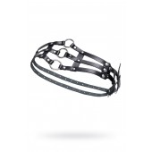 Черный кожаный пояс с кольцами - Pecado - купить с доставкой в Красногорске