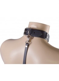 Черный ошейник с металлическими зажимами на соски и поводком - Sitabella - купить с доставкой в Красногорске