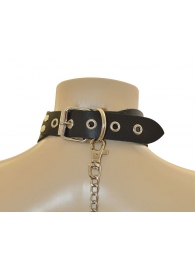 Ошейник  Веселый Роджер - Sitabella - купить с доставкой в Красногорске