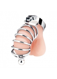Серебристая клетка для члена Urethral Play Cage - BlueLine - купить с доставкой в Красногорске
