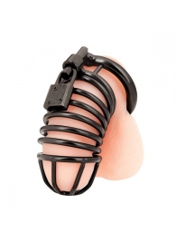 Черная металлическая клетка с замком Deluxe Chastity Cage - BlueLine - купить с доставкой в Красногорске