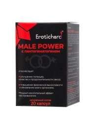 Капсулы для мужчин Erotichard male power с пантогематогеном - 20 капсул (0,370 гр.) - Erotic Hard - купить с доставкой в Красногорске