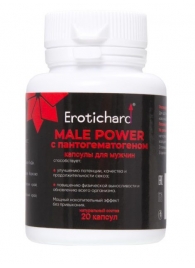 Капсулы для мужчин Erotichard male power с пантогематогеном - 20 капсул (0,370 гр.) - Erotic Hard - купить с доставкой в Красногорске