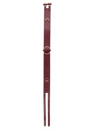 Бордовый ремень Halo Waist Belt - размер L-XL - Shots Media BV - купить с доставкой в Красногорске