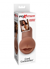 Мастурбатор-ротик Coed Cocksucker - Pipedream - в Красногорске купить с доставкой