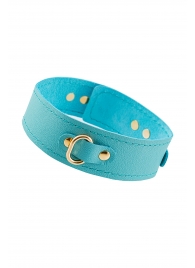 Голубой кожаный однослойный ошейник с прошивкой - Pecado - купить с доставкой в Красногорске