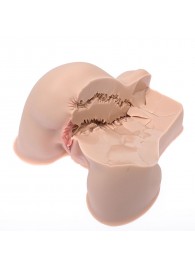 Мастурбатор-полуторс Naked Factory Kate - Naked Factory - в Красногорске купить с доставкой