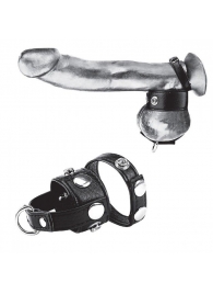 Утяжка для мошонки и пениса Cock Ring With 1  Ball Stretcher And Optional Weight Ring - BlueLine - купить с доставкой в Красногорске