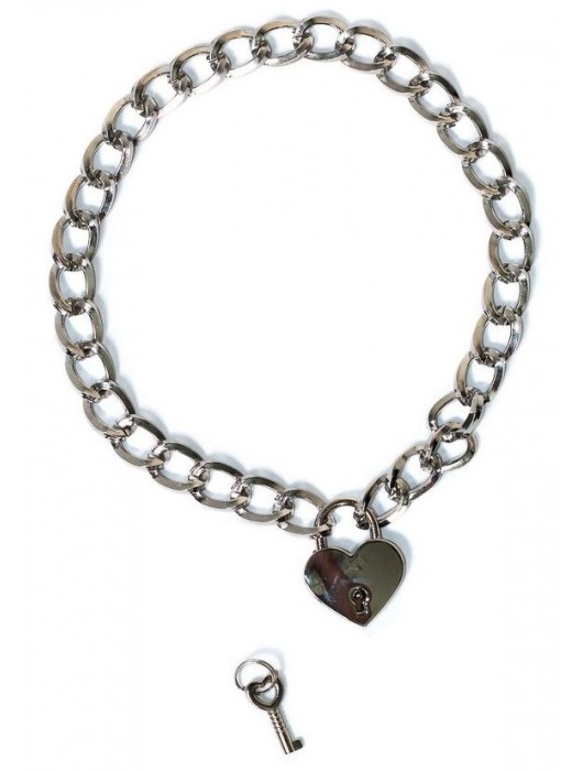 Серебристый ошейник Embrace с ключиком - Lola Games - купить с доставкой в Красногорске