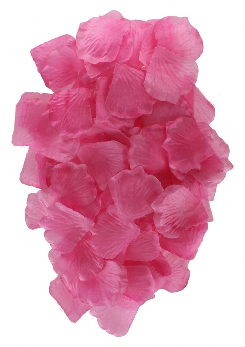 Эротический набор FANTASTIC PURPLE SEX TOY KIT - Toy Joy - купить с доставкой в Красногорске