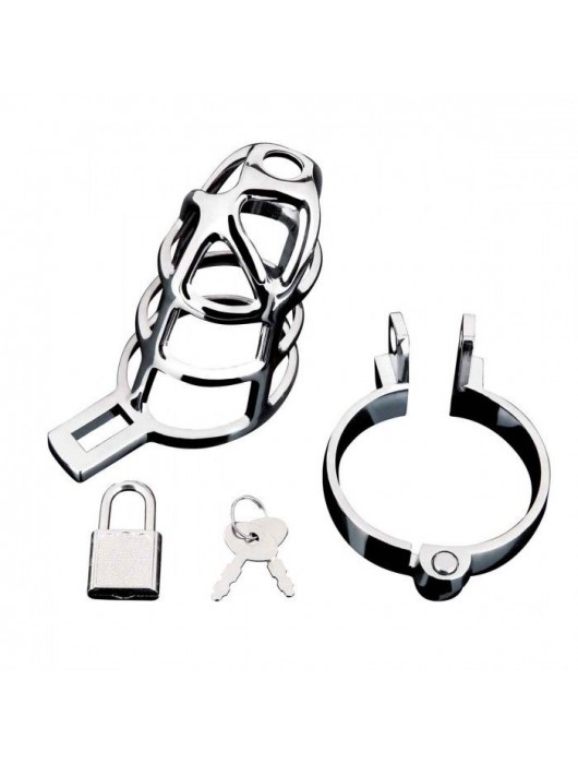 Серебристая металлическая клетка для члена с замком Enslave Cock Cage - BlueLine - купить с доставкой в Красногорске