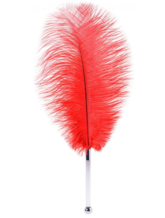 Красное страусовое пёрышко - ToyFa - купить с доставкой в Красногорске