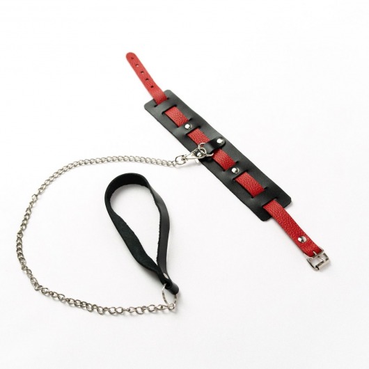 Черный ошейник с красным ремешком и поводком - Crazy Handmade - купить с доставкой в Красногорске