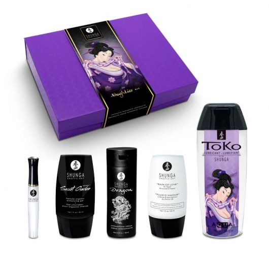 Подарочный набор Naughter Kit - Shunga - купить с доставкой в Красногорске