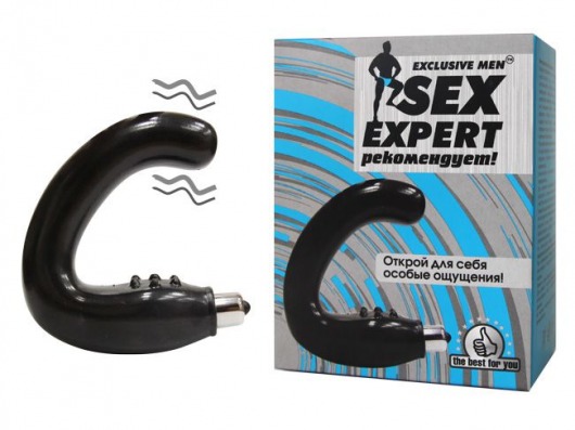 Чёрный массажёр простаты серии Sex Expert - Sex Expert - в Красногорске купить с доставкой