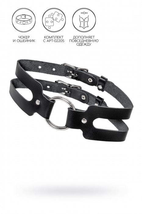 Черный кожаный чокер-ошейник из двух ремешков - Pecado - купить с доставкой в Красногорске