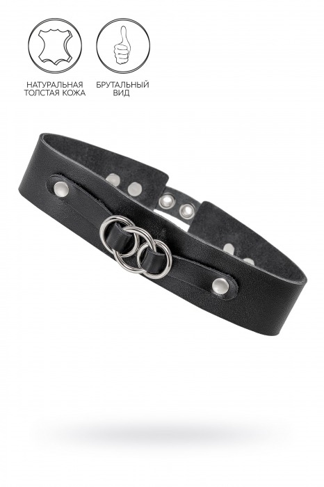 Черный чокер-ошейник со связанными кольцами на подложке - Pecado - купить с доставкой в Красногорске