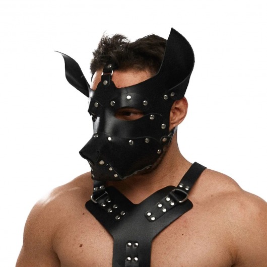Черная кожаная маска «Собака» - Crazy Handmade - купить с доставкой в Красногорске