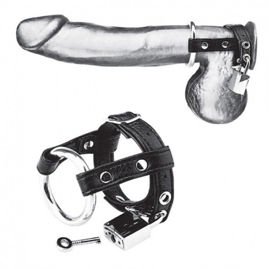 Утяжка на пенис на замочке Duo Cock And Ball Lock - BlueLine - купить с доставкой в Красногорске