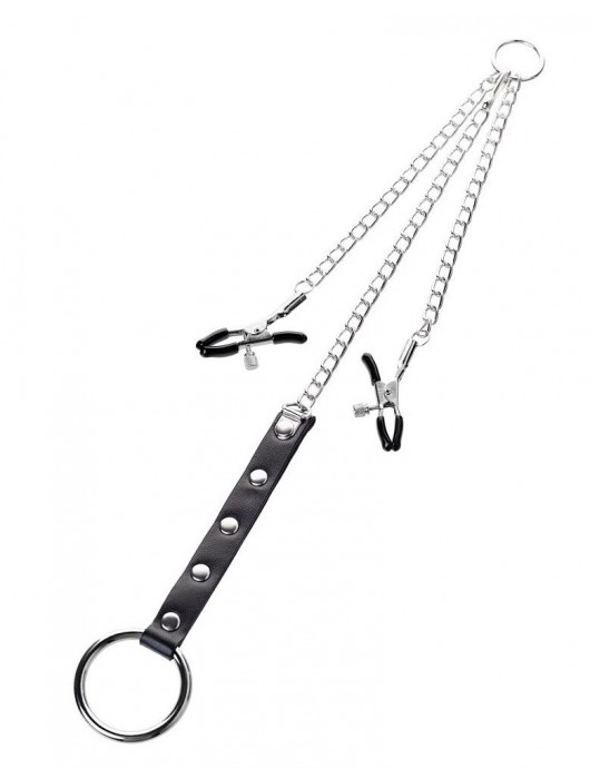 Серебристо-чёрные зажимы для сосков с кольцом для пениса TOYFA Metal - ToyFa - купить с доставкой в Красногорске