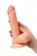 Телесный фаллоимитатор Lorn - 20 см. - ToyFa купить с доставкой в интернет-магазине Orgasmix в Красногорске Телесный фаллоимитатор Lorn - 20 см. - ToyFa